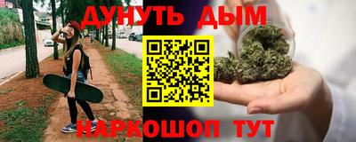 Альфа ПВП Ставрополь