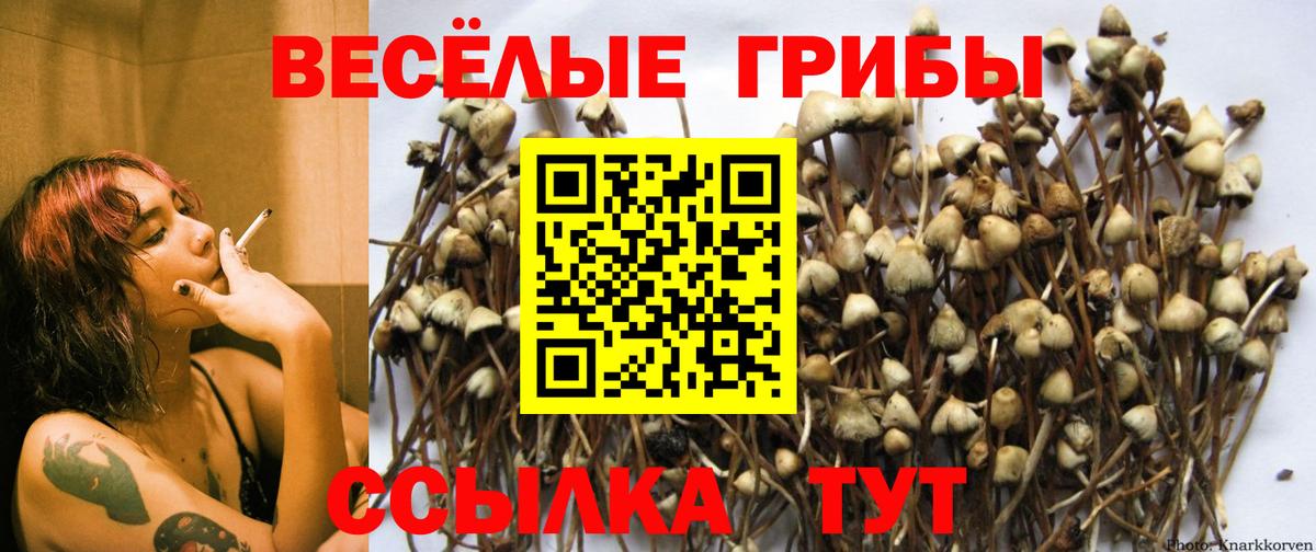 Галлюциногенные грибы ЛСД Новотроицк